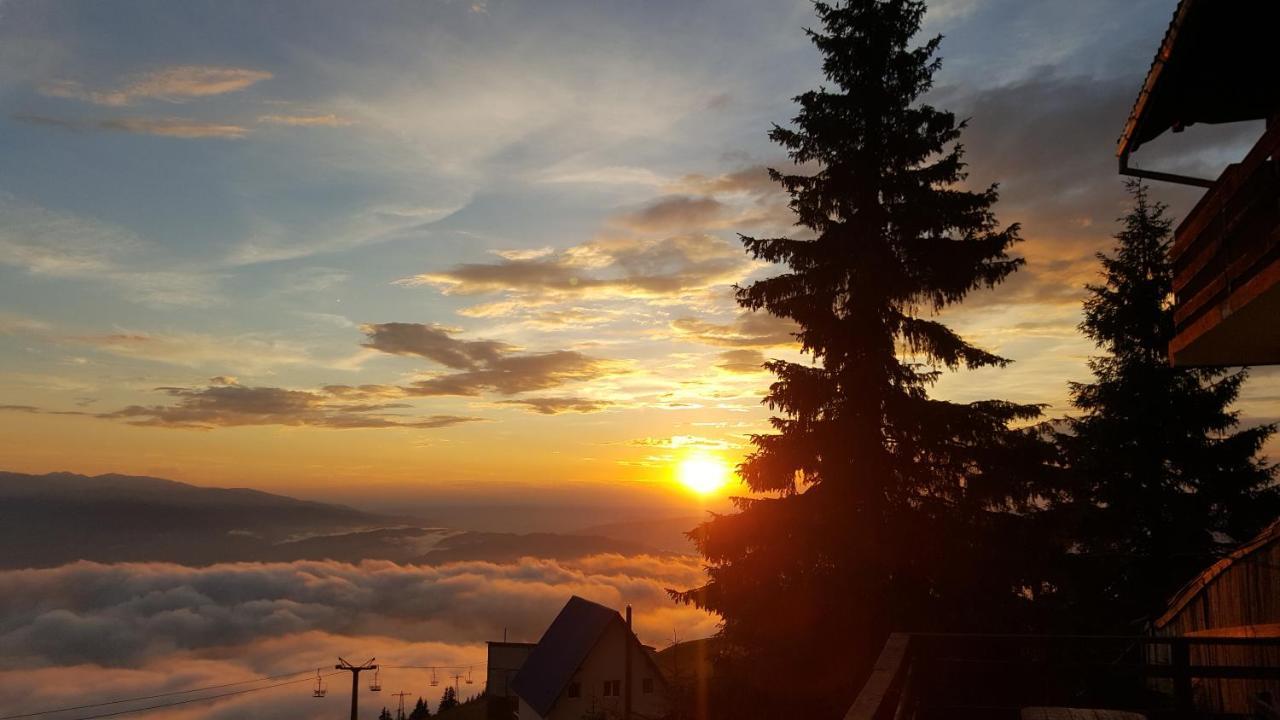 Vila Parang Petroşani Exteriér fotografie