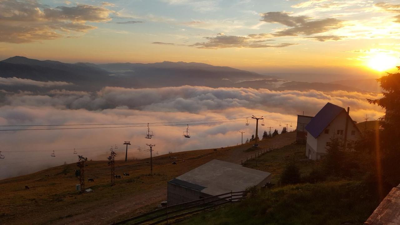 Vila Parang Petroşani Exteriér fotografie