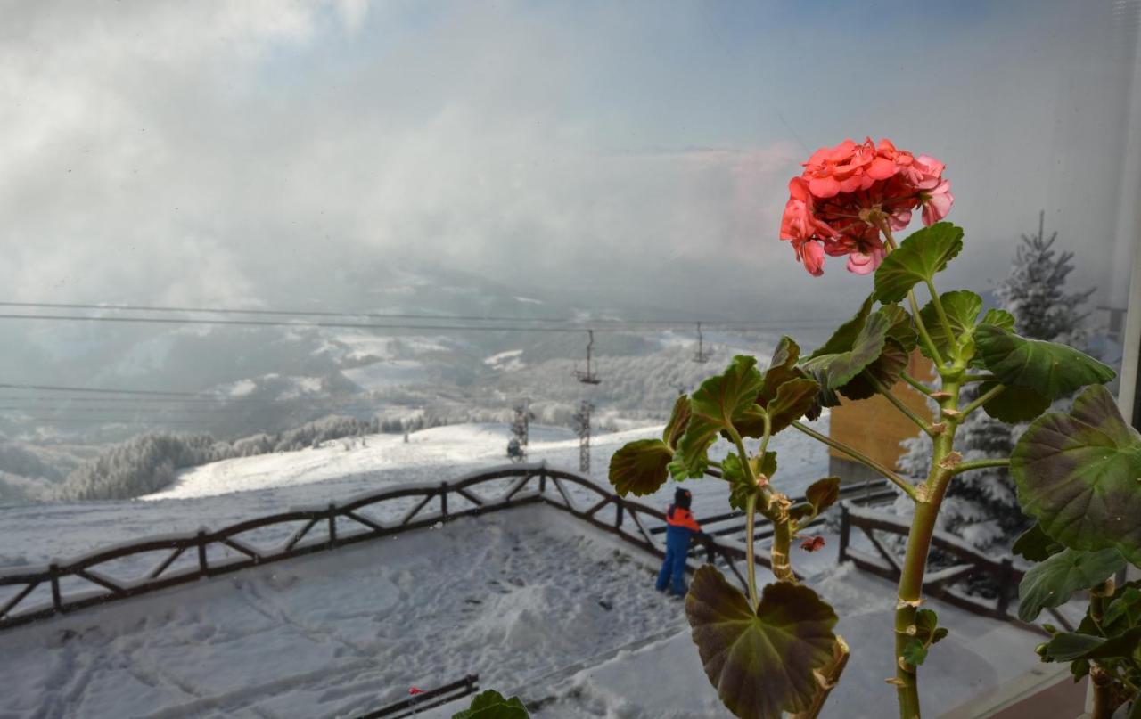 Vila Parang Petroşani Exteriér fotografie