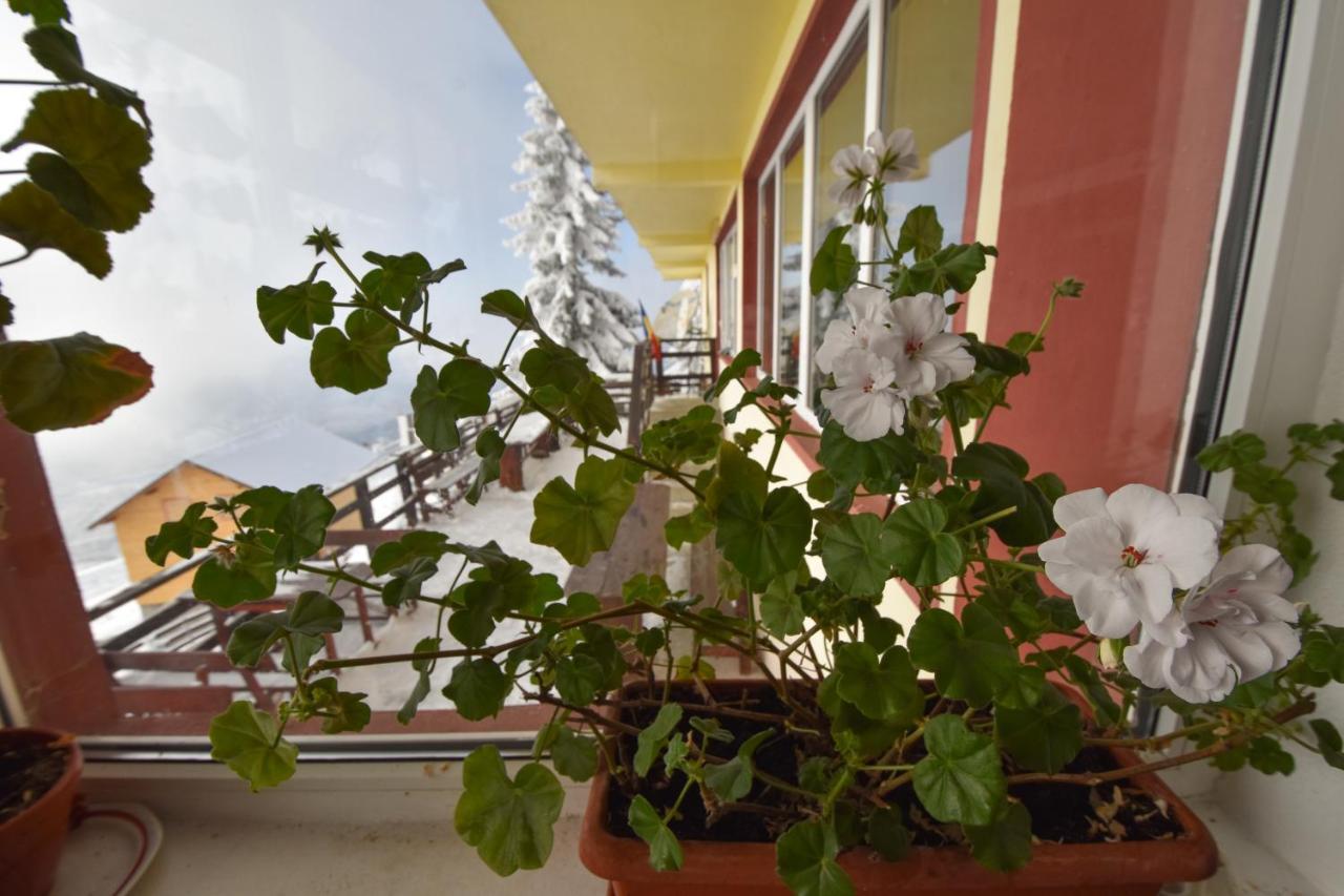 Vila Parang Petroşani Exteriér fotografie